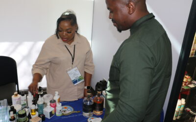 UL strengthens industry, global partnerships through science engagement platforms
