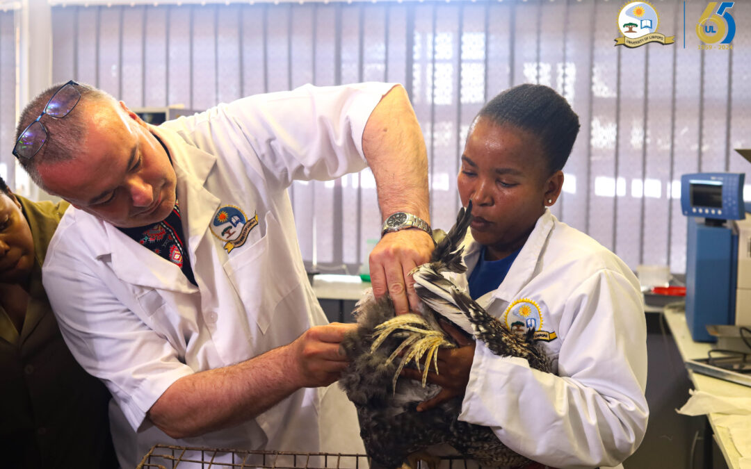 Livestock genetics, reproduction workshop takes science from the laboratory to the farm